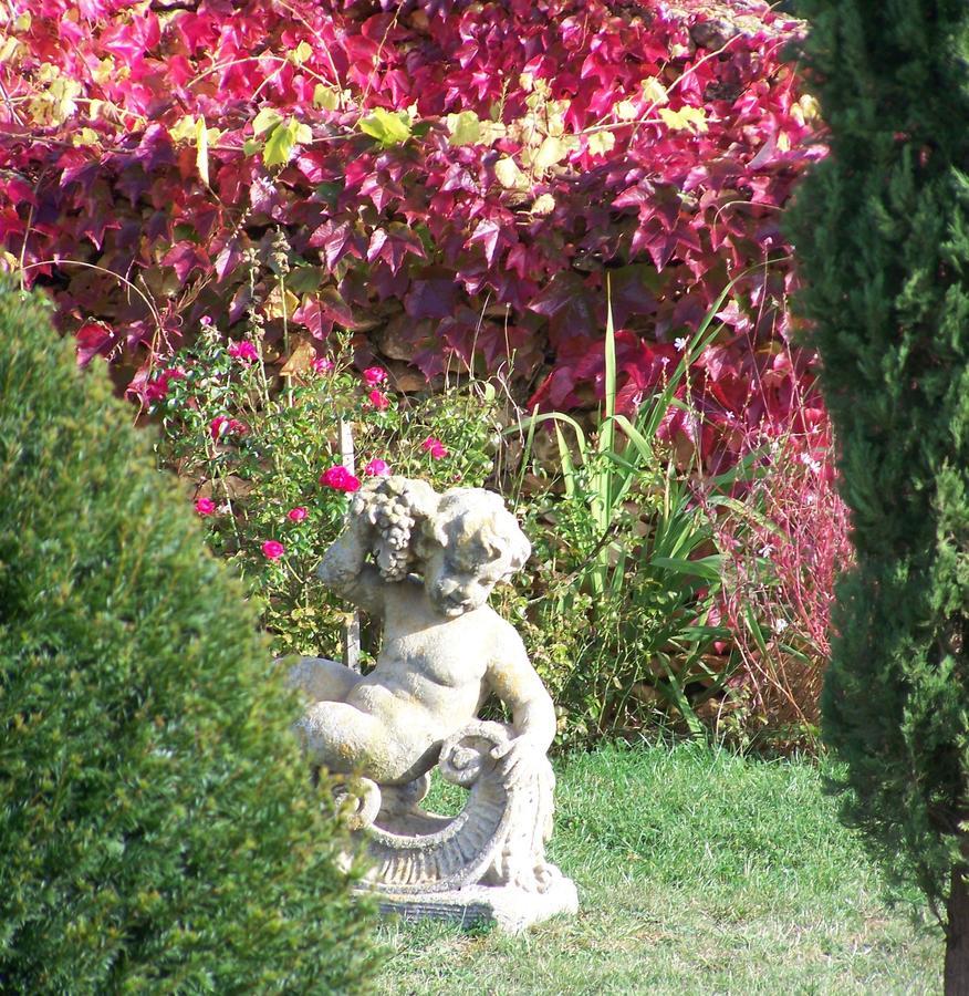 Bed and Breakfast La Charmeraie Saint-Cirq  Екстер'єр фото
